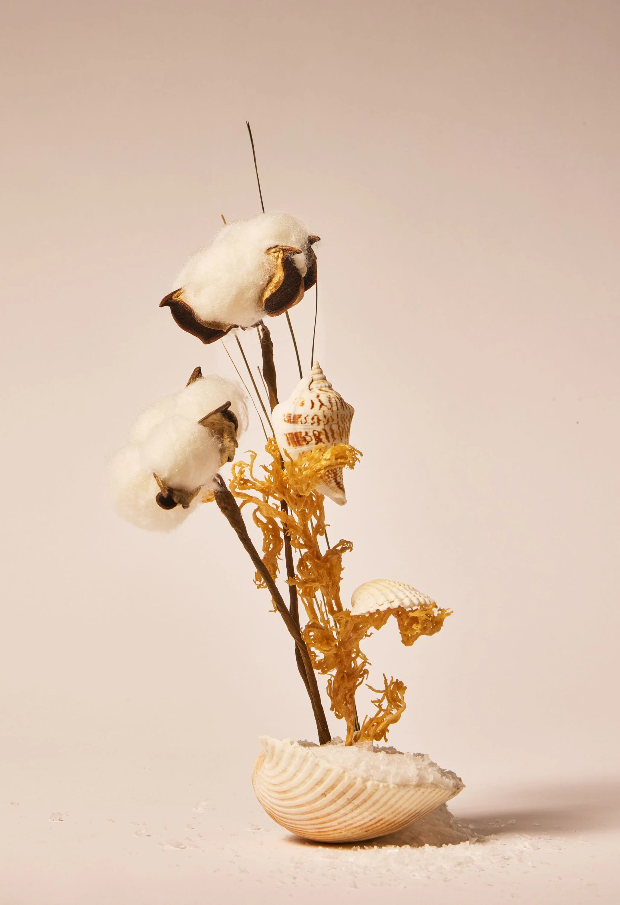 Beach_Blanket copy.jpg