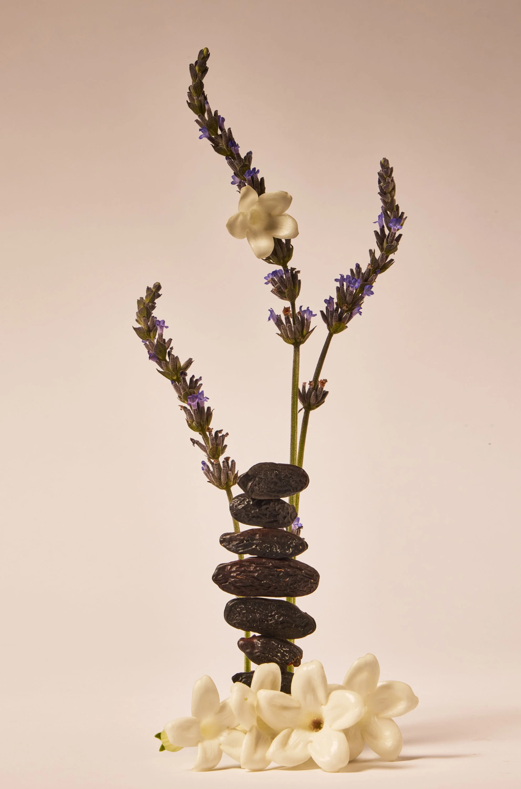 Sweet_Lavender copy.jpg