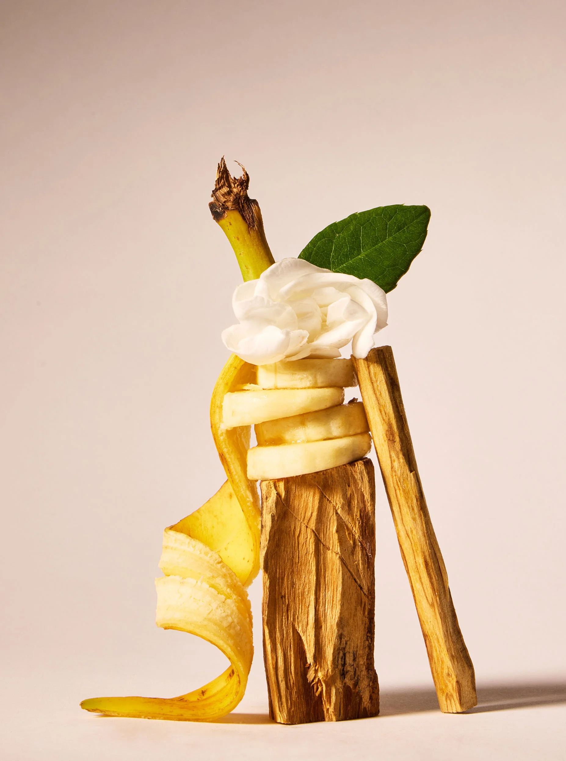 Dreaming_Of_Rio (NOT LIVE YET) copy.jpg