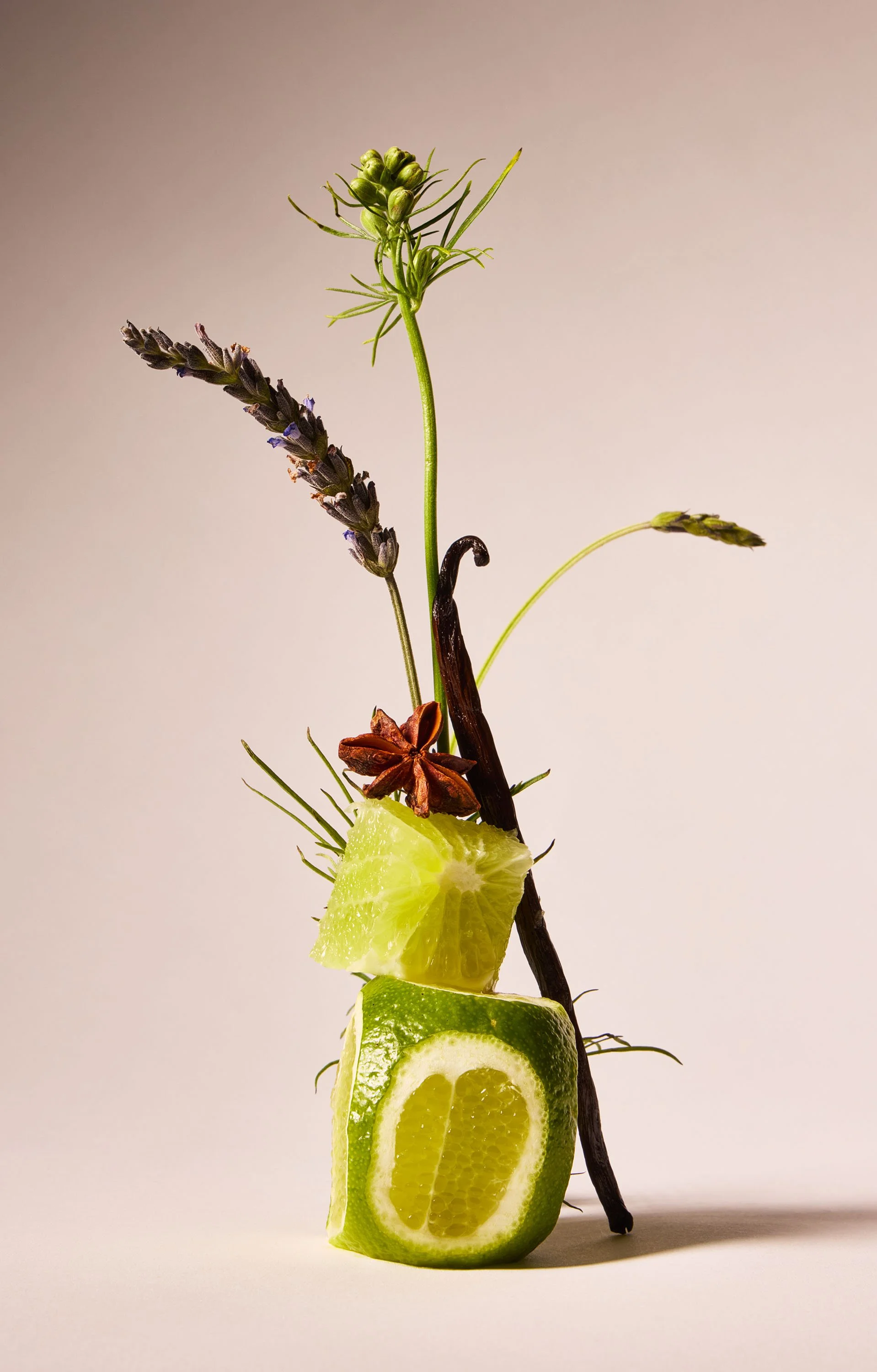 VANILLA_NOIR copy.jpg