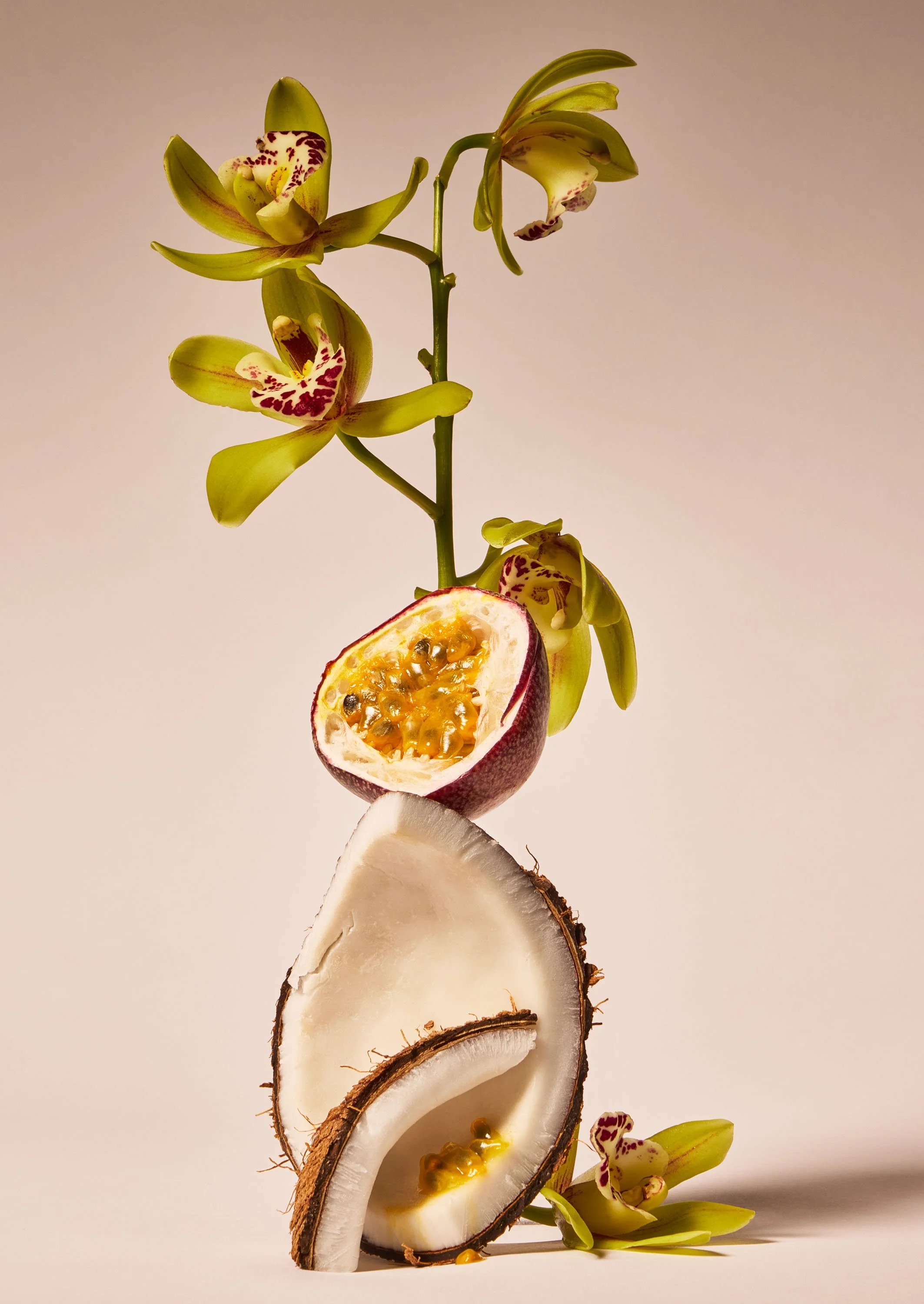 Viva_Brazil(NOT LIVE YET) copy.jpg