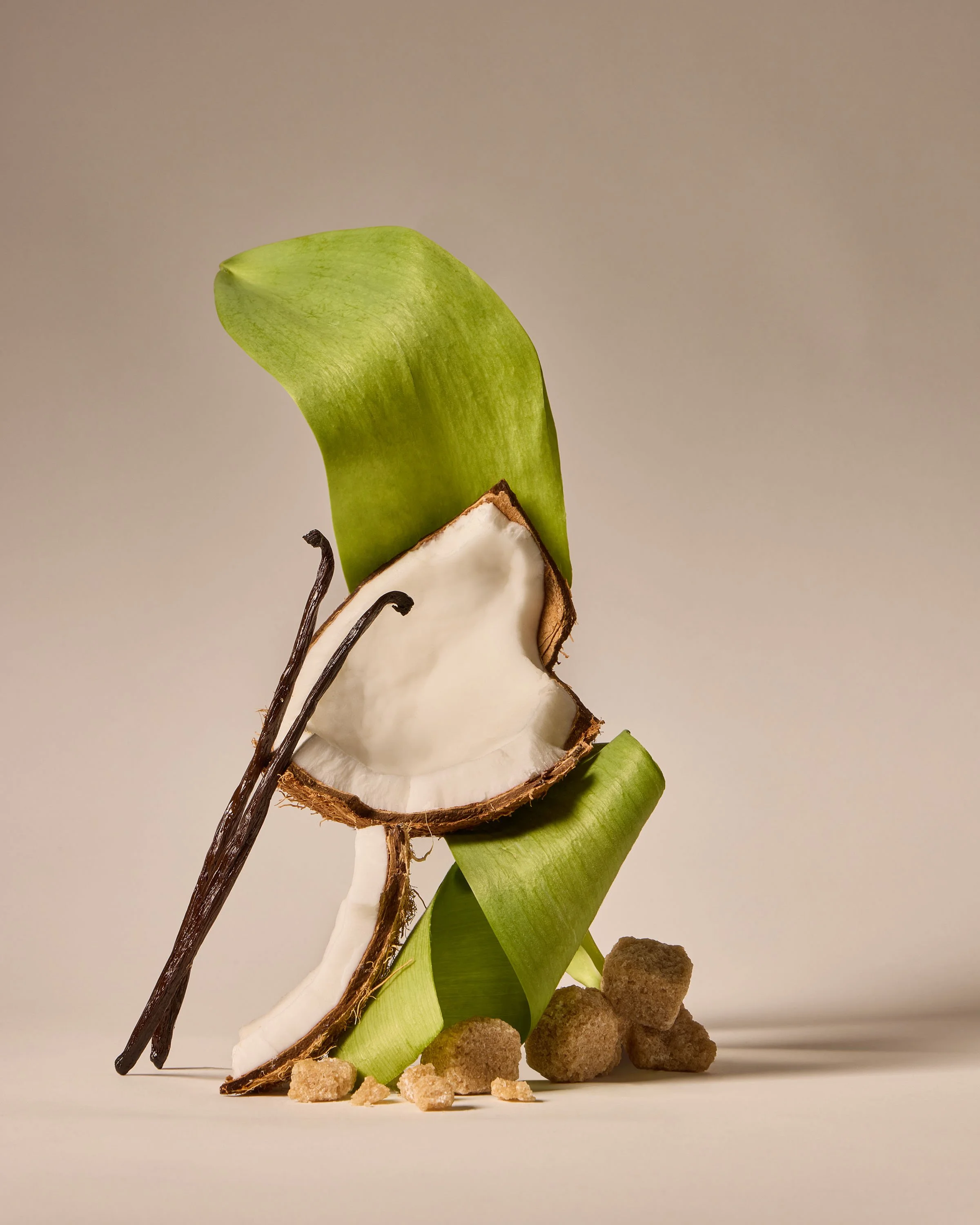 Coconut_Breeze copy.jpg