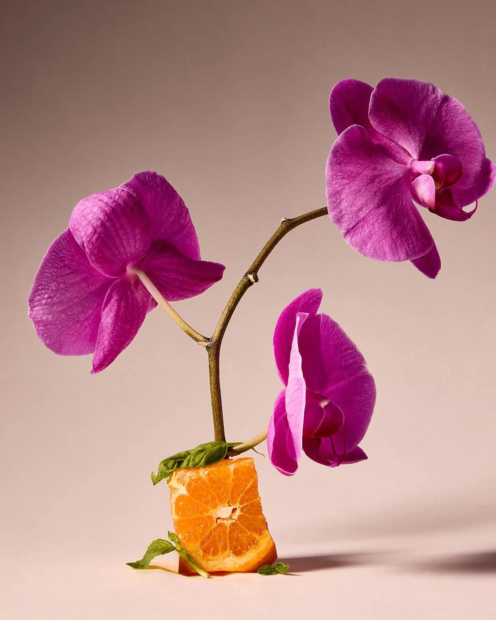 Gardenista-1280x1280 copy.jpg