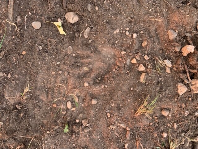 Project: Soils Virtual Porch Chat