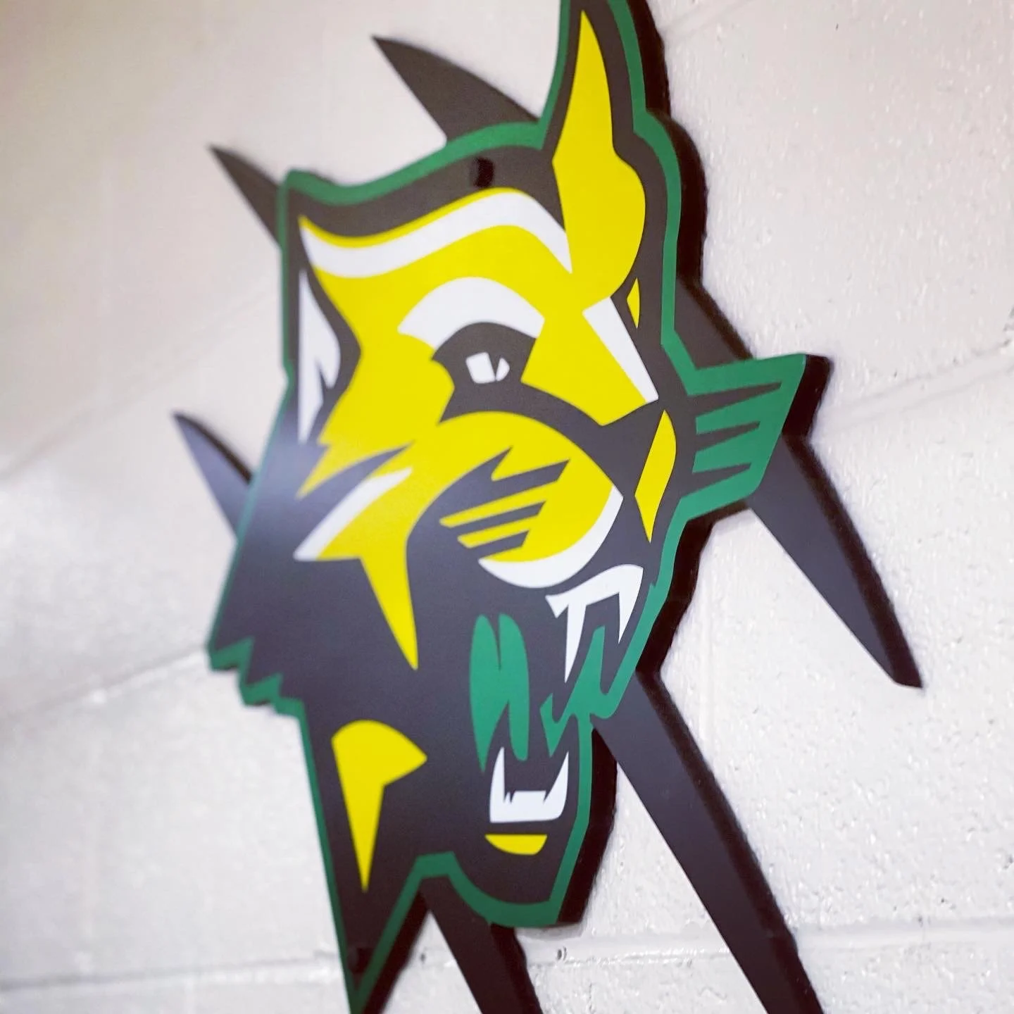 Tomcats Logo Cut Out.jpg