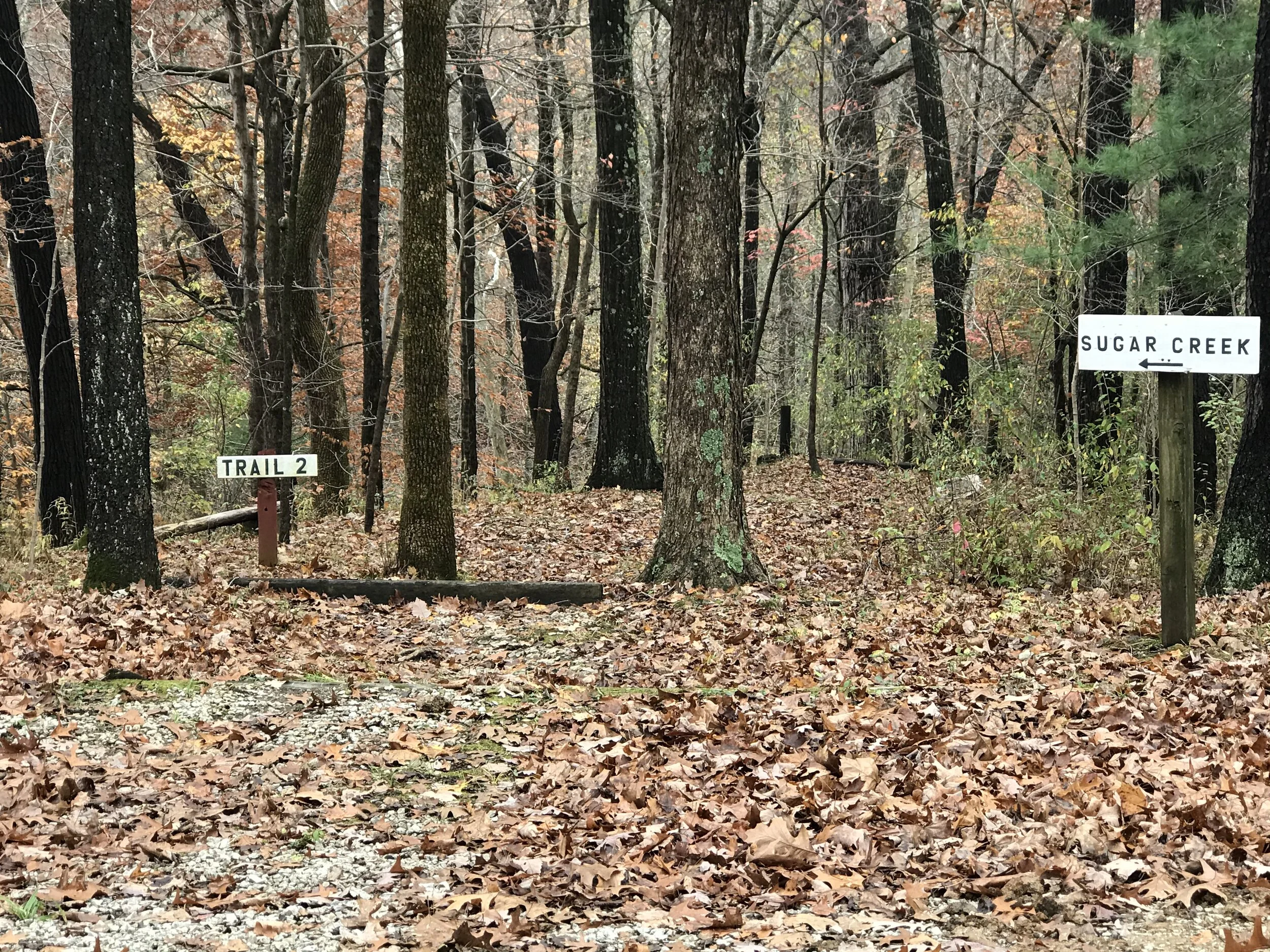 2020-10-29 13.37.20.jpg