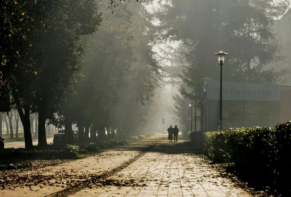 How to Help a Friend Who is Struggling