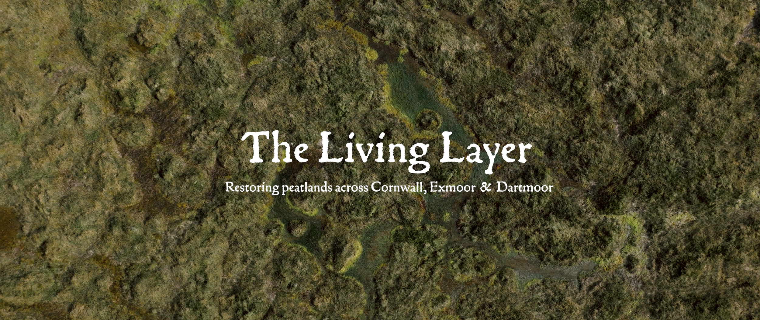 SWPP - THE LIVING LAYER