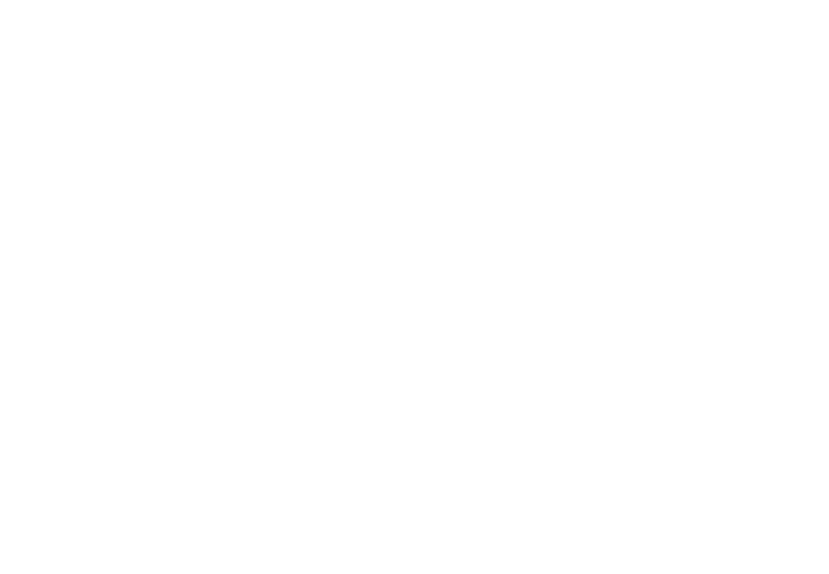 Inyo Broadcast Holdings