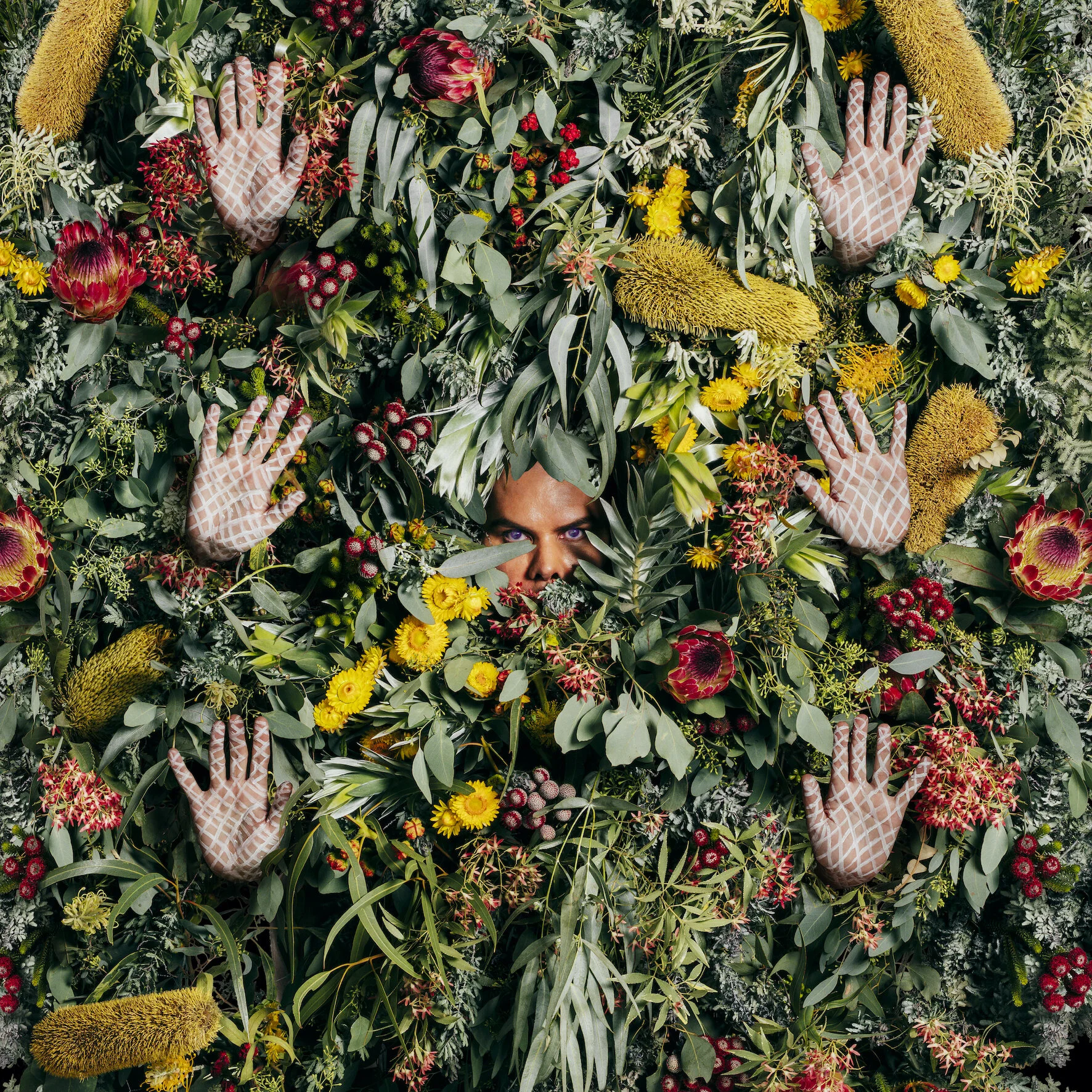 Christian Thompson AO, Rule of Three, 2020, C-type print on metallic paper, 250 x 250 cm (4 panels), 120 x 120 cm (single panel), enquire edition size.