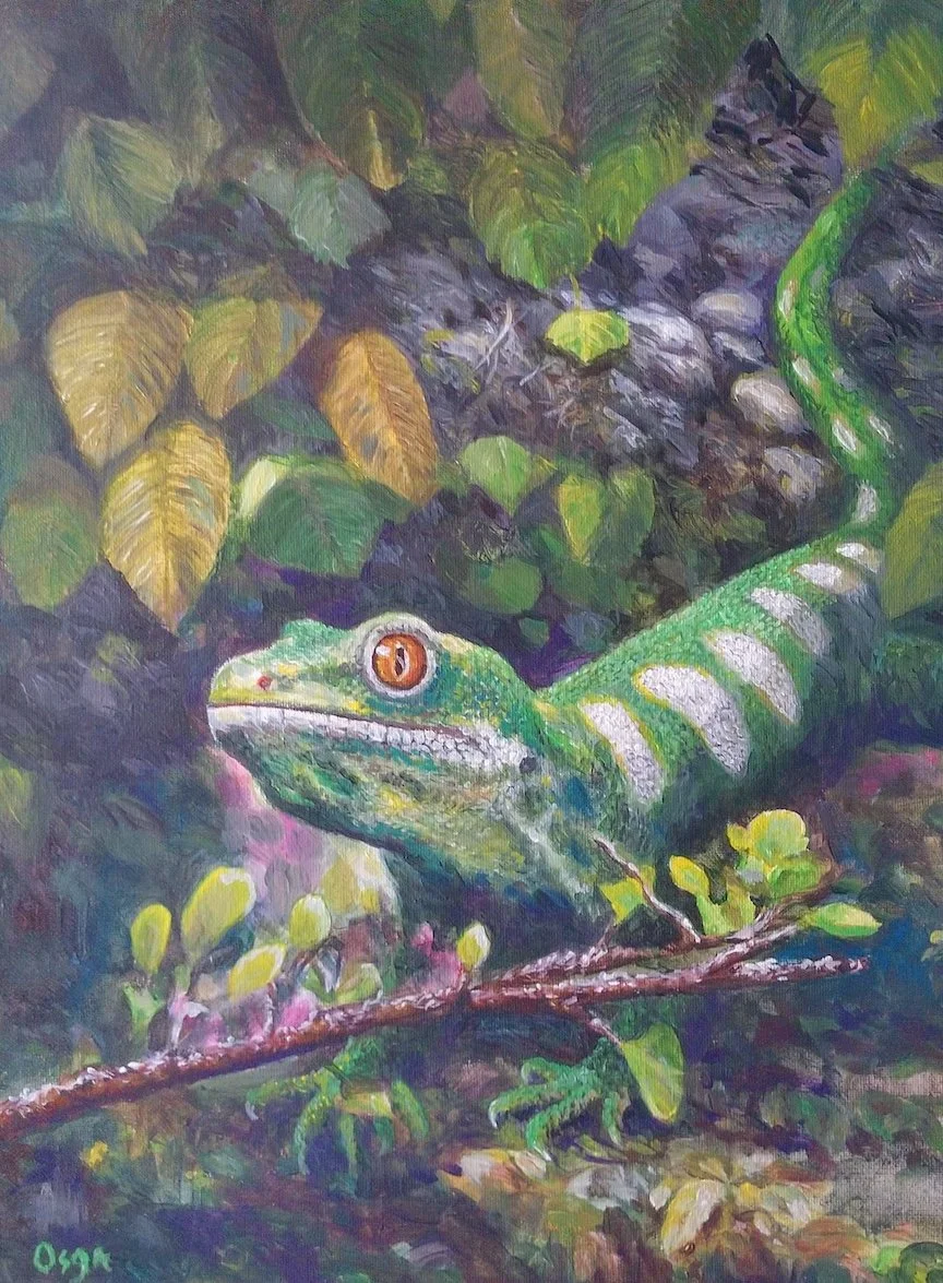 Glenn Osga4-Northern Green Gecko - Glenn Osga.jpg