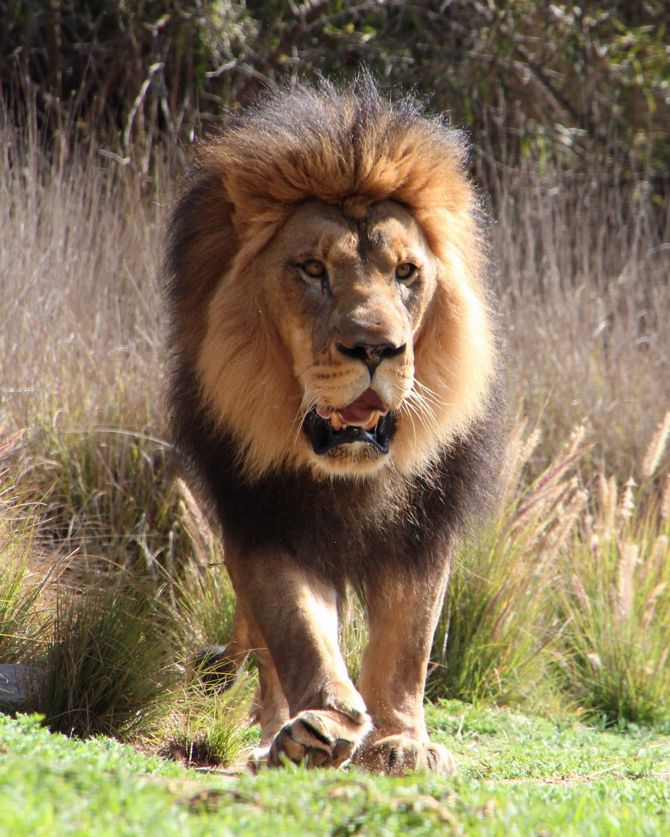 IMG_0052.jpgDD - Patty Noerbaek.jpg