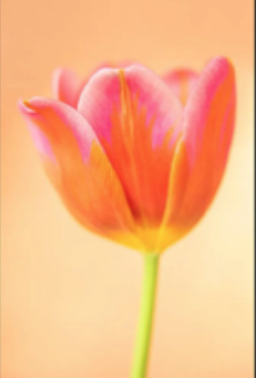 Screenshot 2026-03-09 at 3.06.44 PM.png