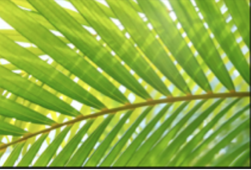 Screenshot 2026-03-09 at 3.06.55 PM.png