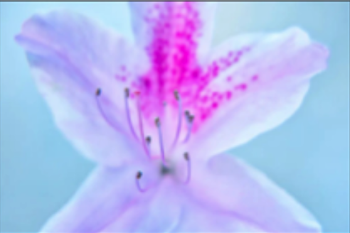 Screenshot 2026-03-09 at 3.07.47 PM.png