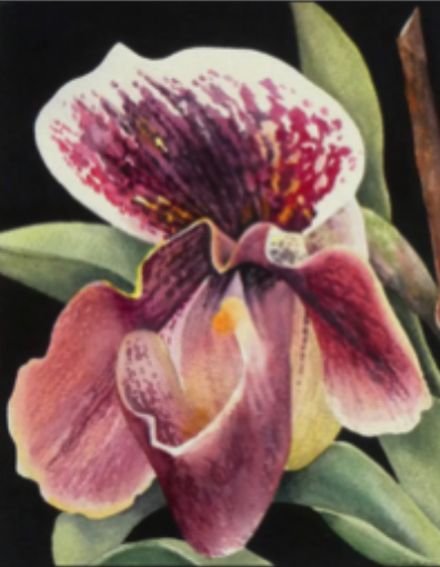 Screenshot 2026-03-09 at 3.09.51 PM.png