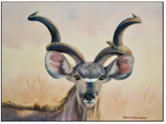 Screenshot 2026-03-09 at 3.09.58 PM.png