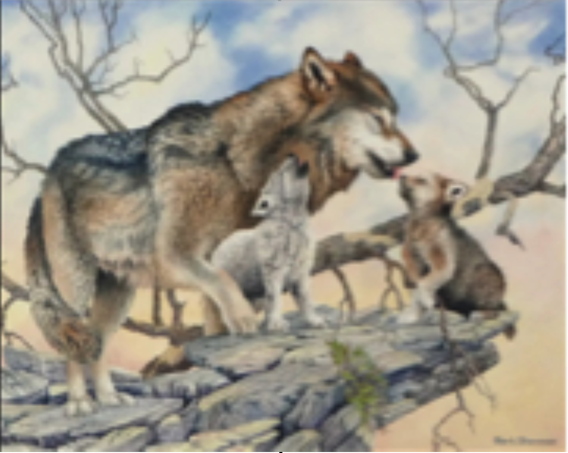 Screenshot 2026-03-09 at 3.10.28 PM.png