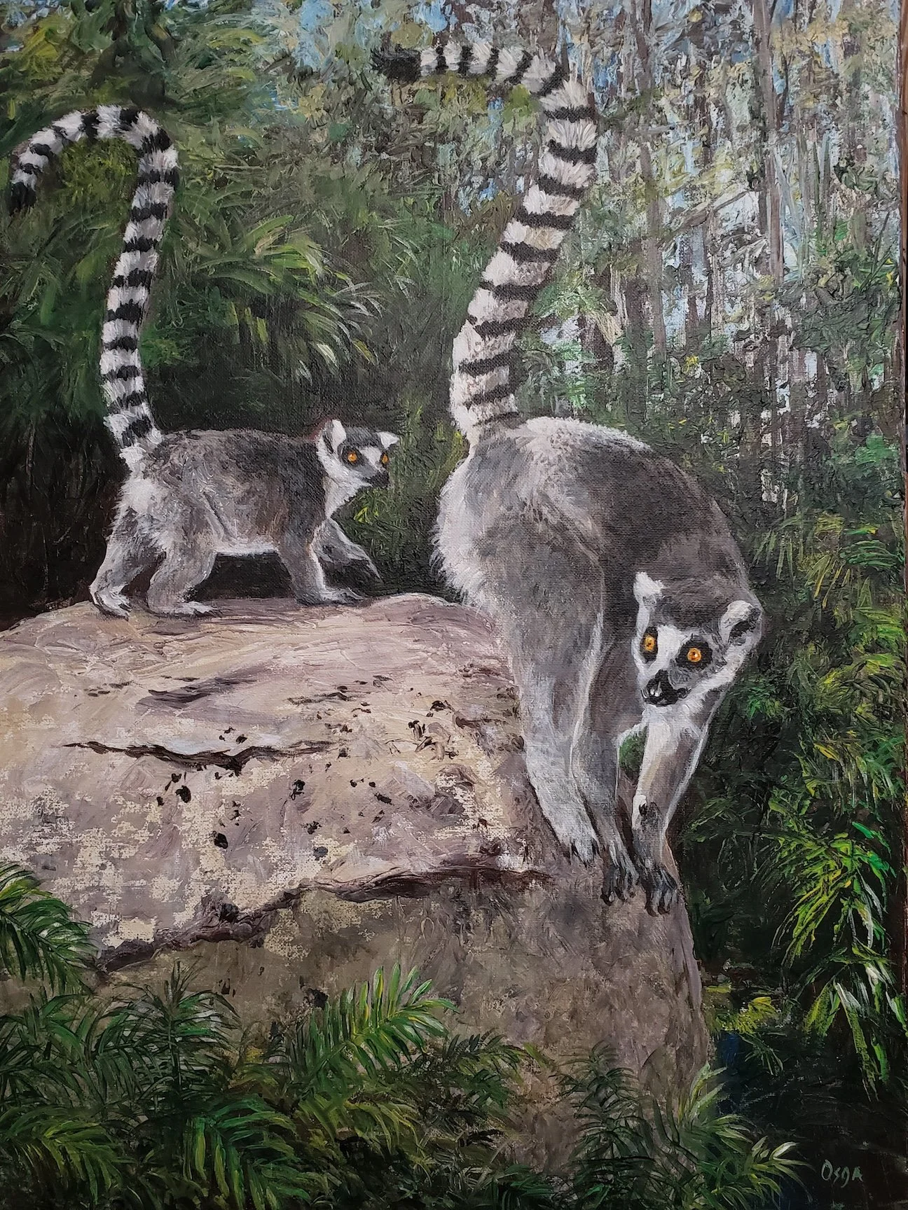 Glenn Osga2-Lemur Leisure - Glenn Osga.jpg