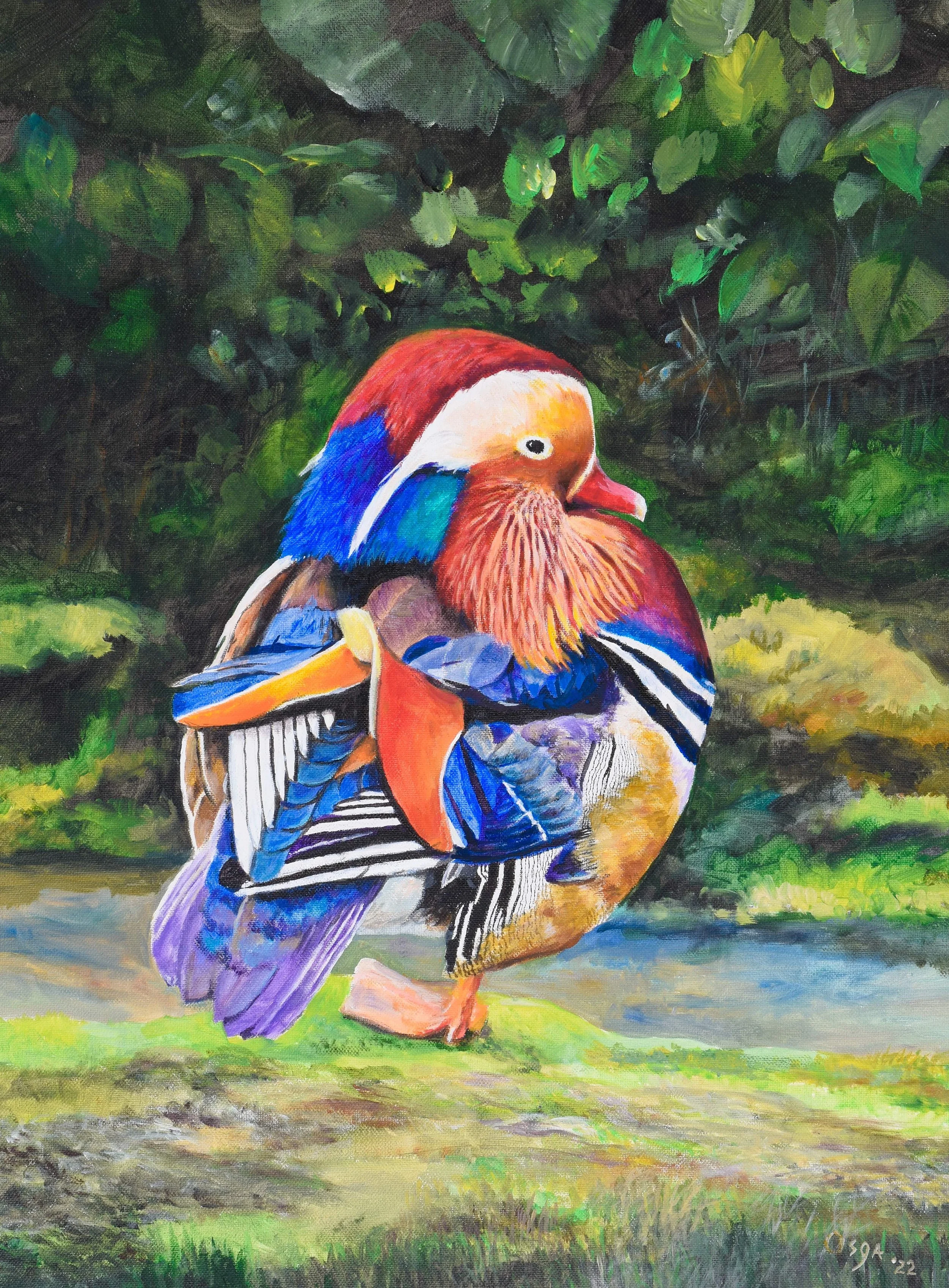 Glenn Osga1-Mandarin_Duck - Glenn Osga.jpg