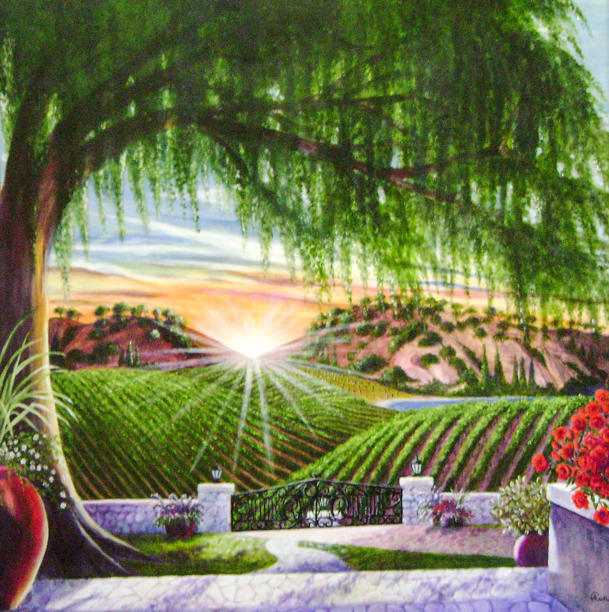 Sunrise At R&R Vineyard_edited - Ren Daniels.jpg