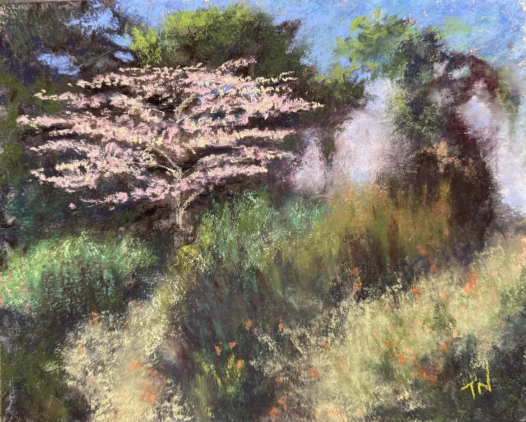 Spring Dreams - toni narins.jpg