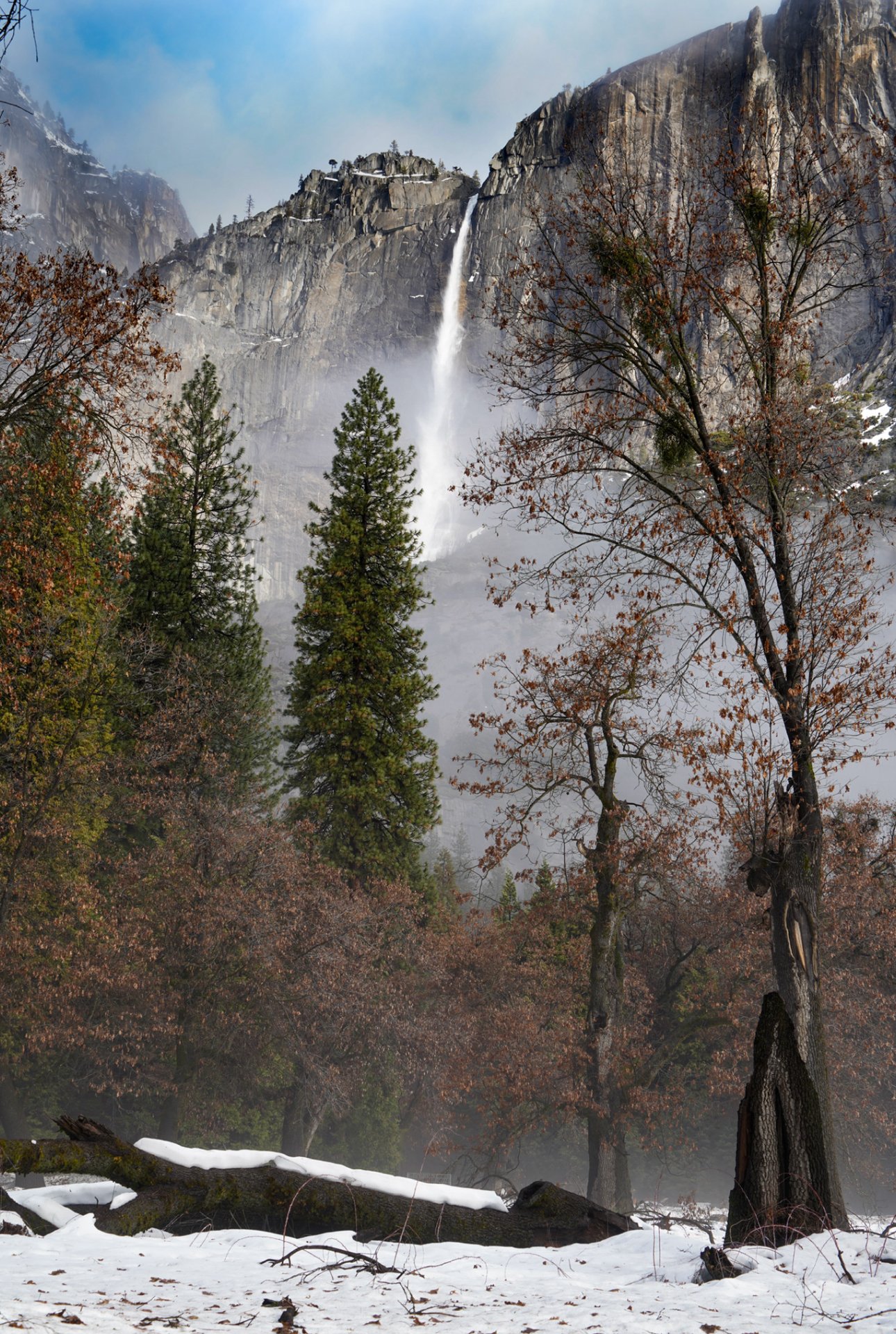 IMG_7712 - Alessandra Silvaberg.jpeg