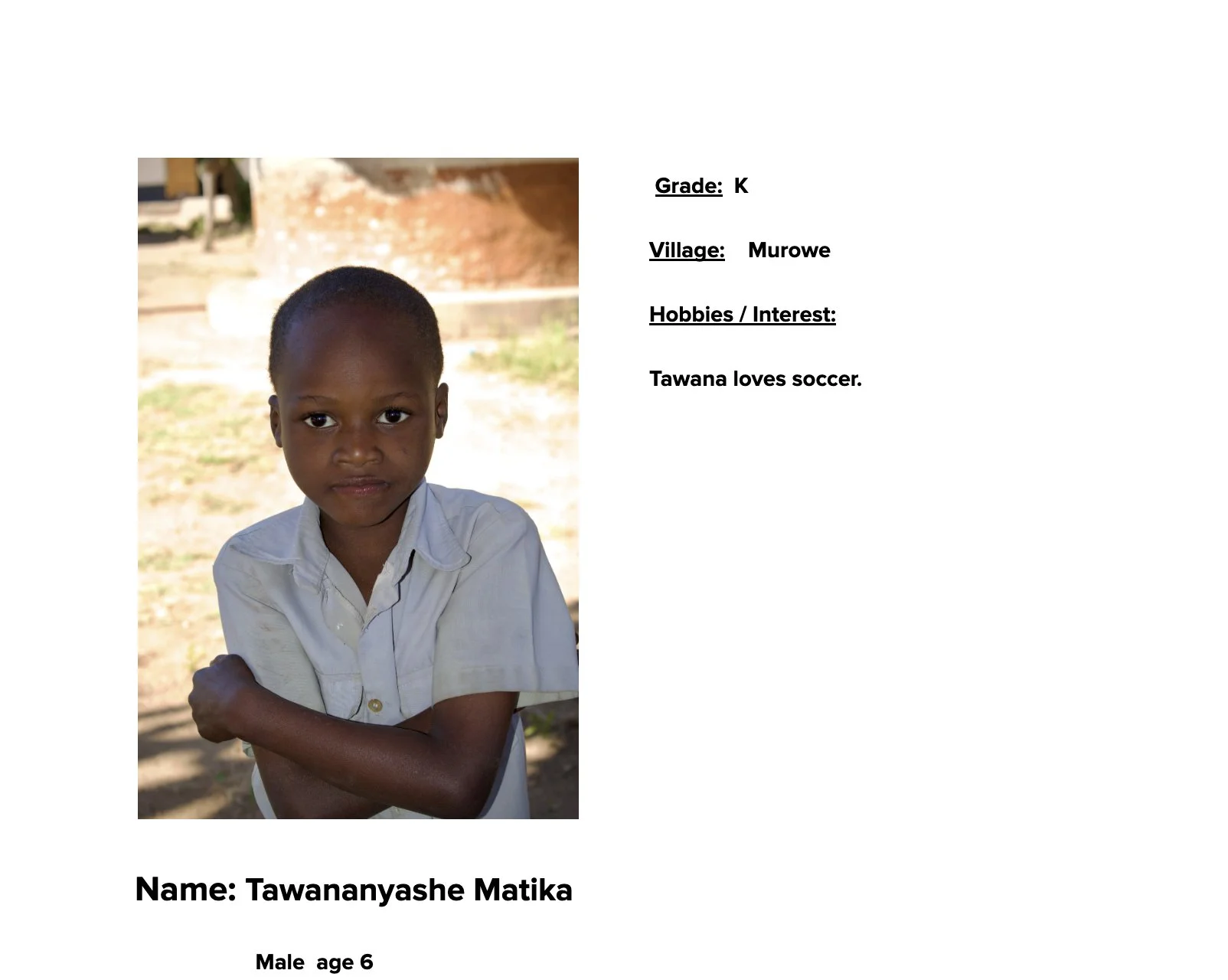 Tawananyashe Matika