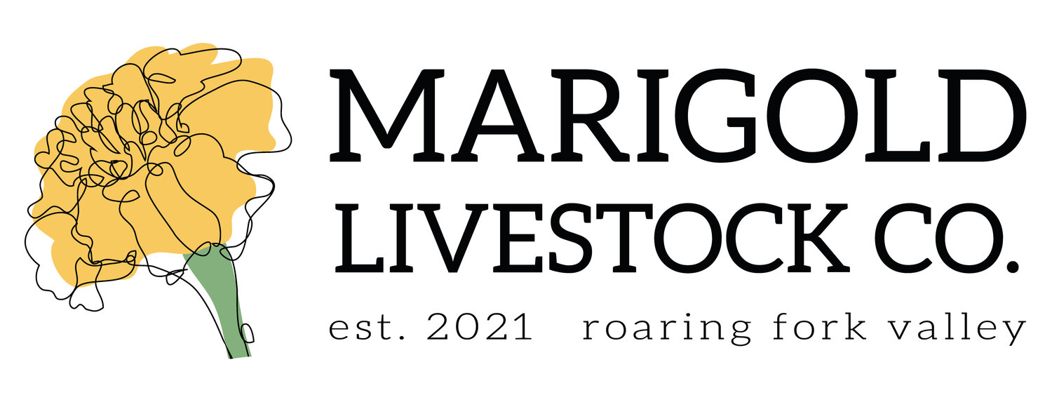 Marigold Livestock Co.