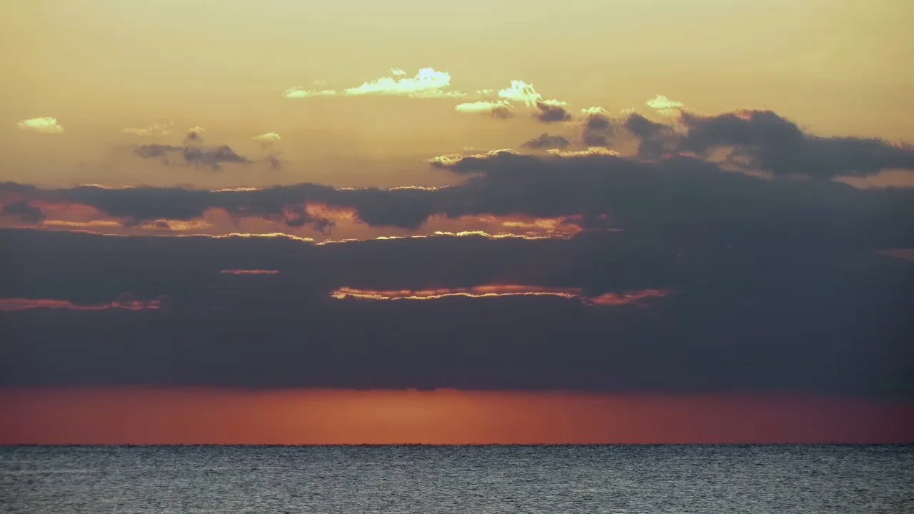 Bonobo | Bambro Koyo Ganda