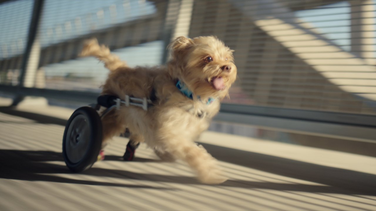 Nutrish Equity | The Park