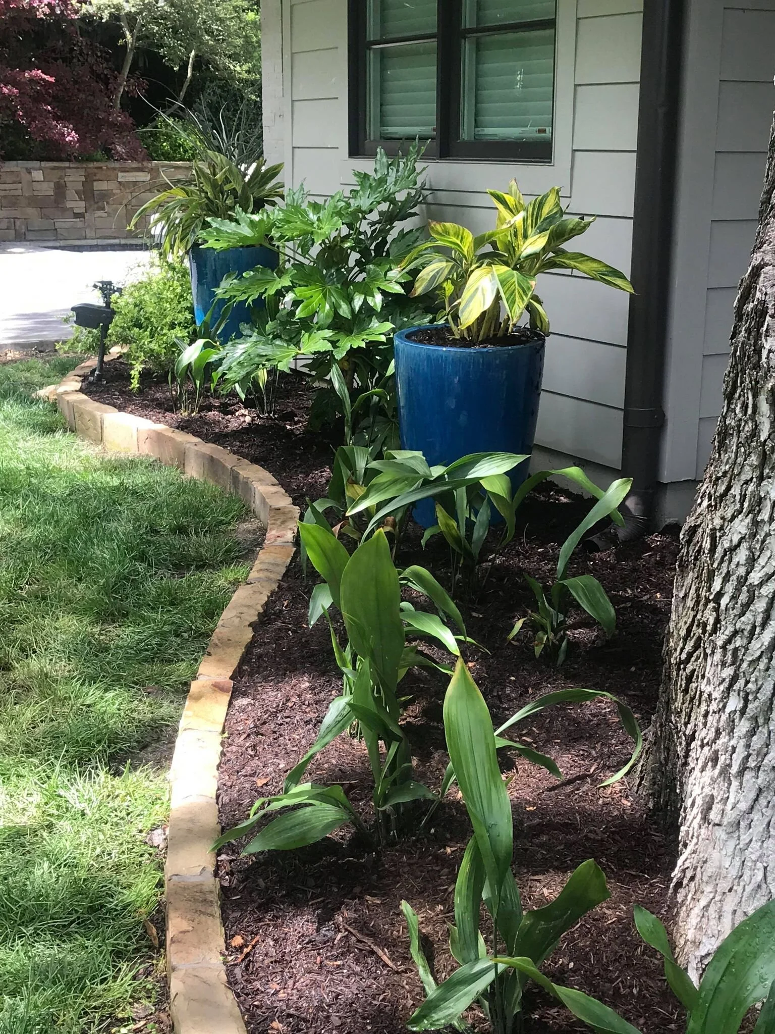 Shady Backyard_Vertical View.jpg