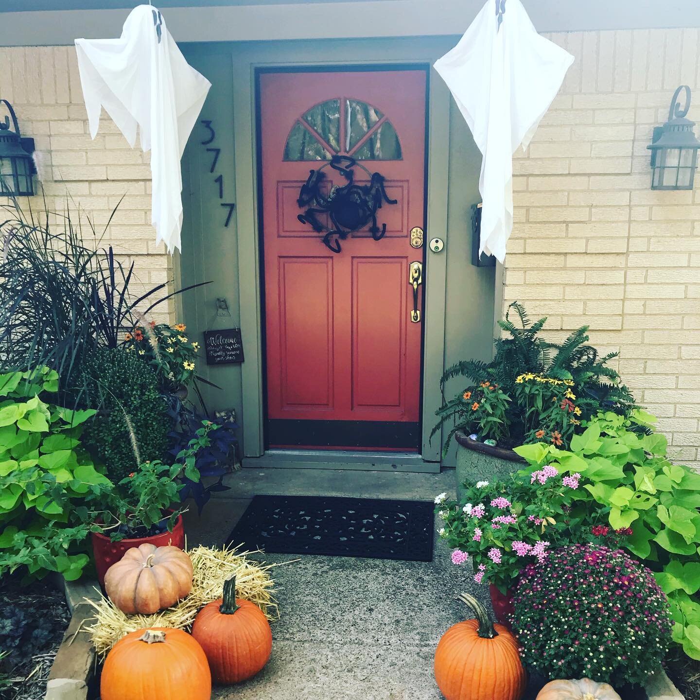 Halloween Fall Containers.jpg