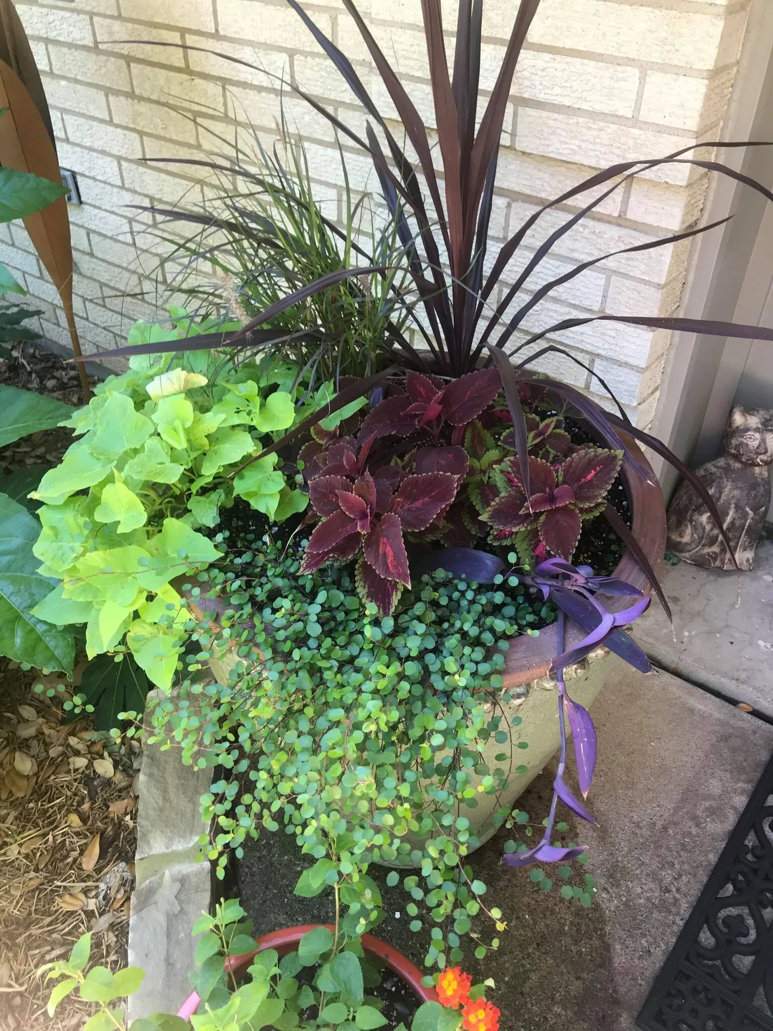 Spring Container.jpg