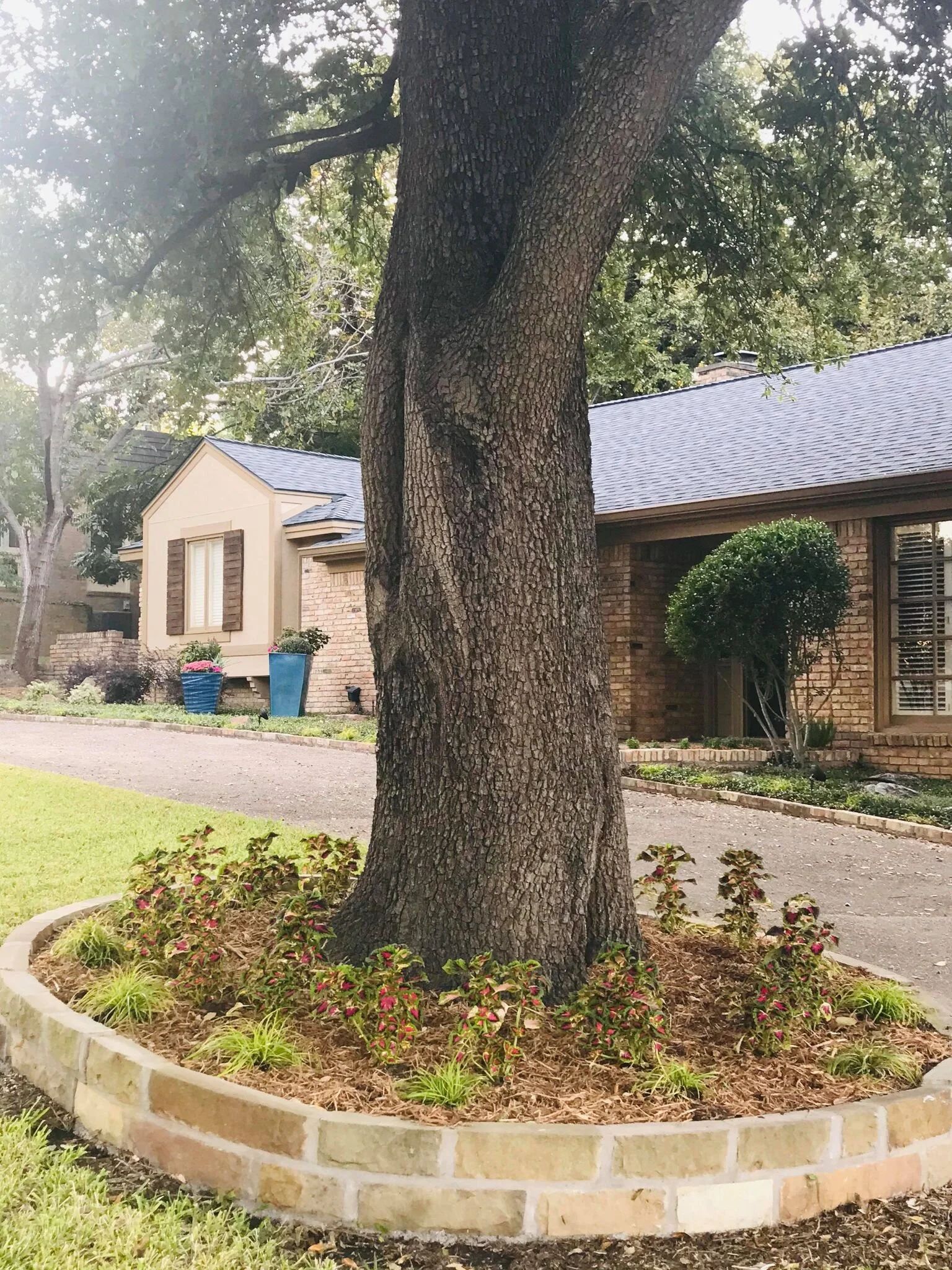 Front Tree Flower Bed_Full.jpg
