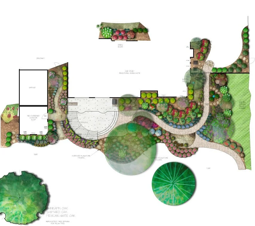 As the garden grows, so do we.

When this garden was first planted, everything needed full sun and constant attention. Bright, blooming, and reaching in every direction.

Now, as the trees mature, the garden is changing. Their branches widen, the can