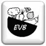 EVB Logo Button JPG.jpg