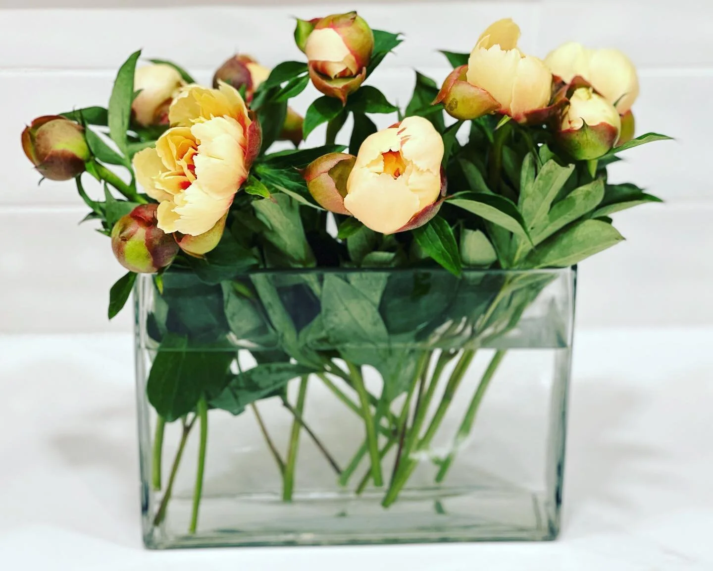 The prettiest peonies. Get &lsquo;em while they&rsquo;re hot