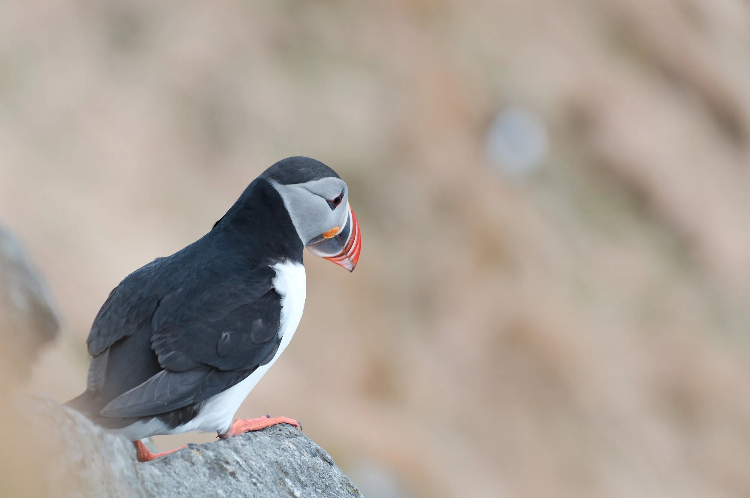 f6.4   iso800   1/90s