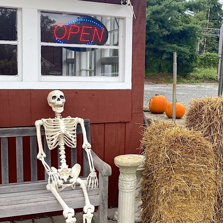 Farmcafeskeletonhay.jpeg