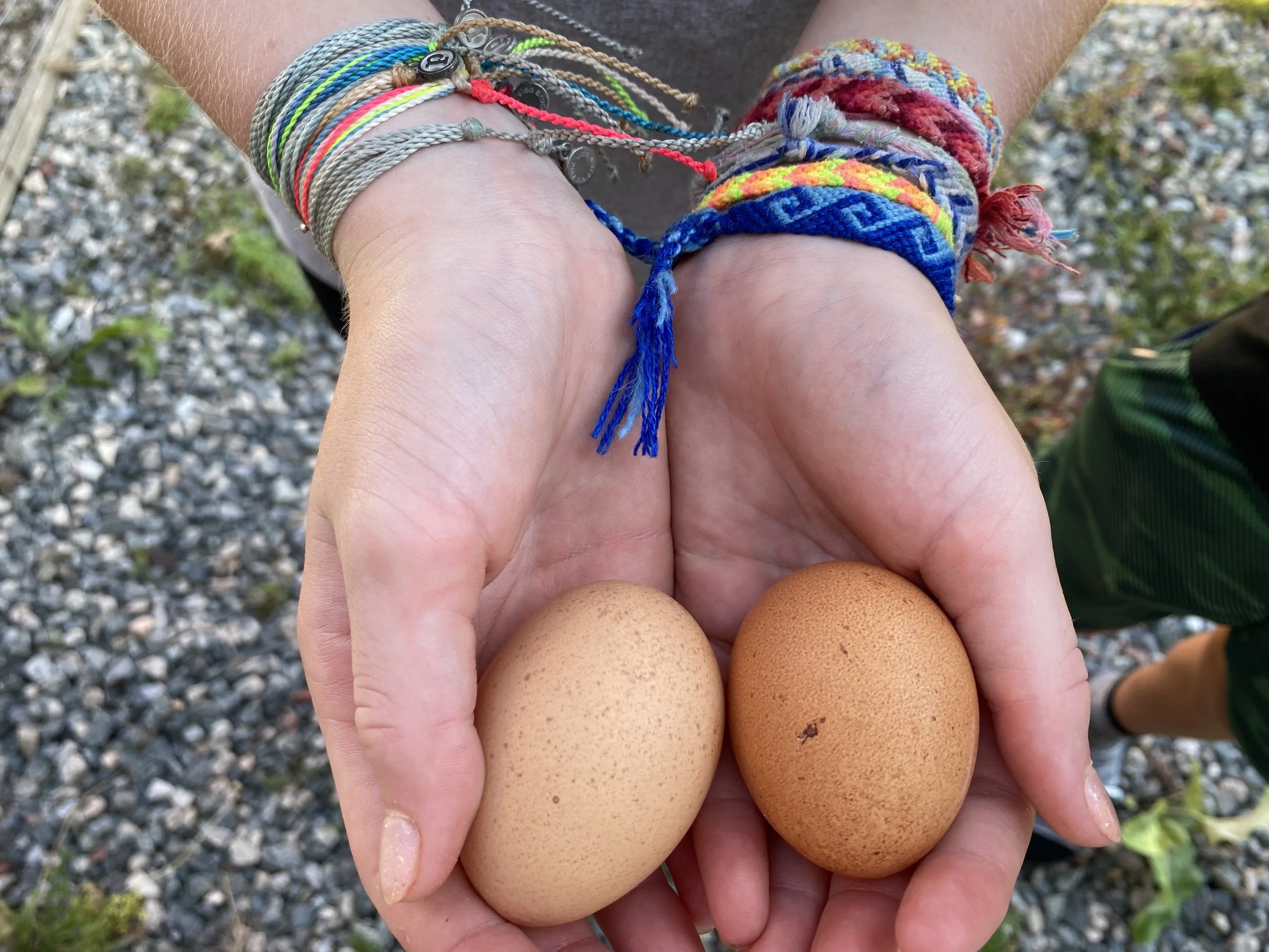 Eggsinhandsbracelets.jpeg