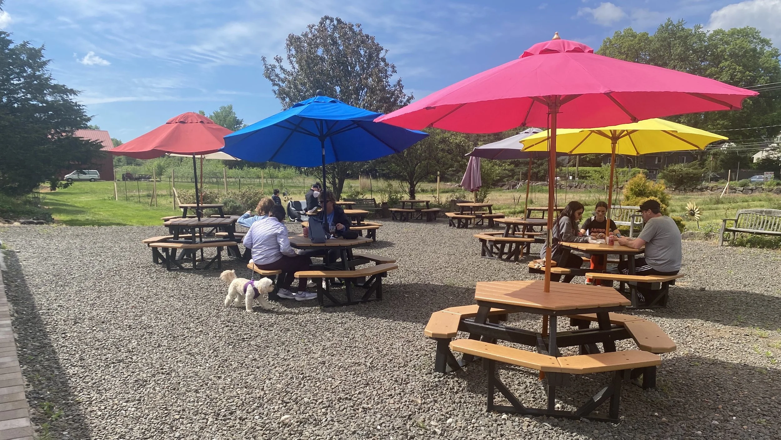 Farmcafeoutsideeating.jpg