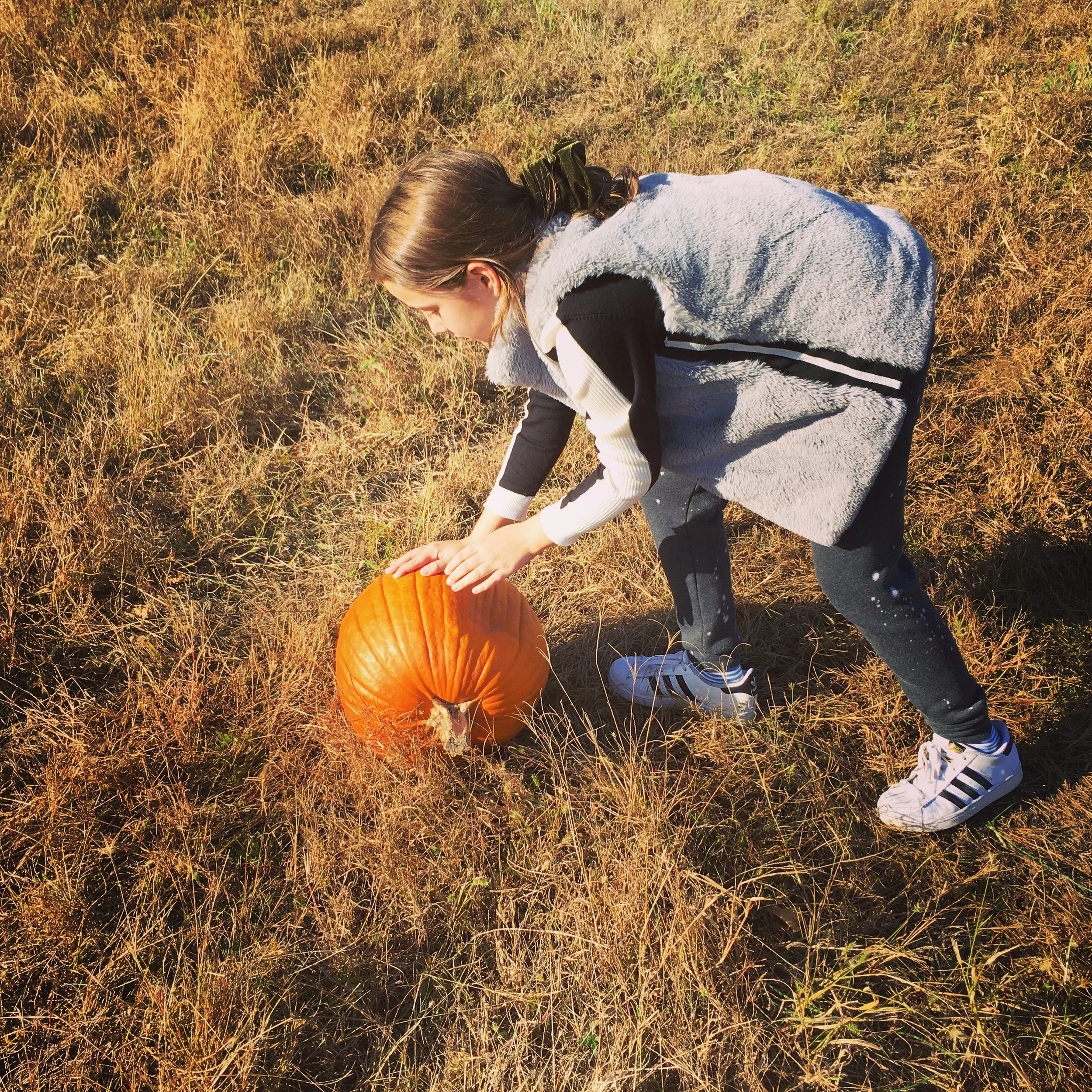 Abbyrollingpumpkin.jpeg