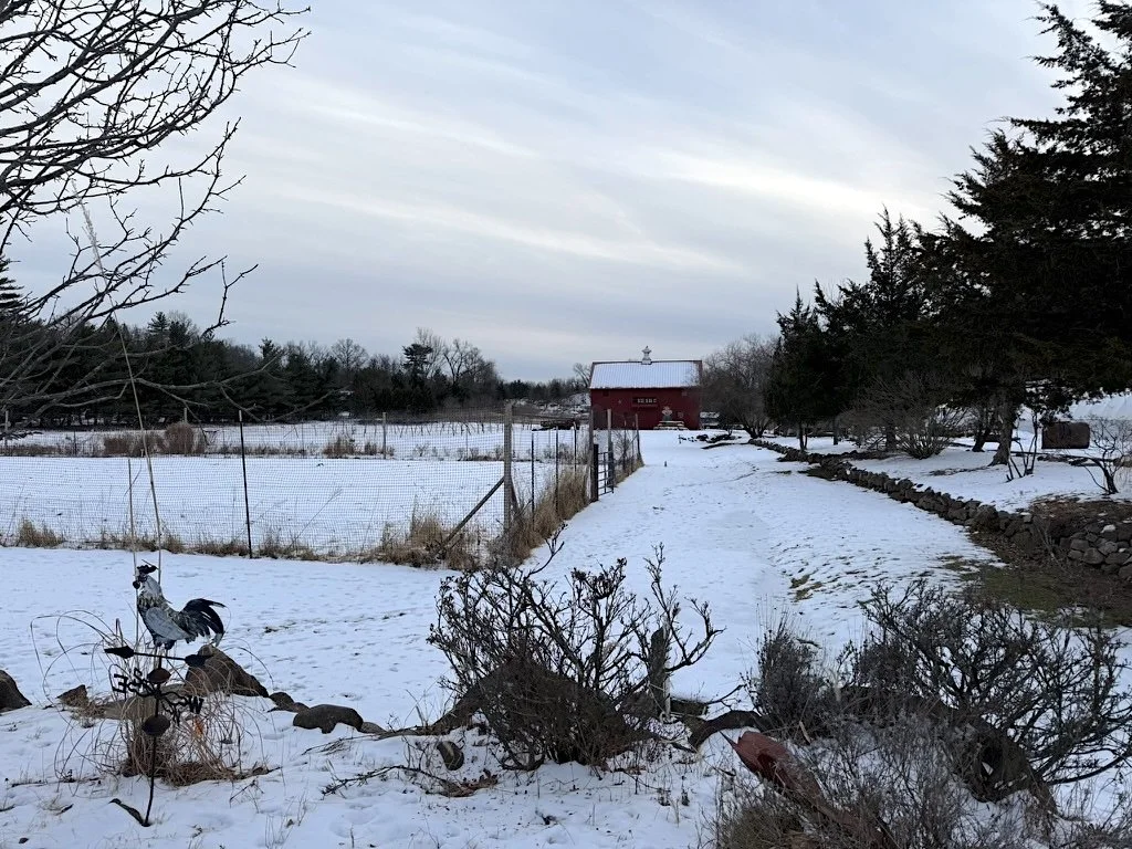 Snowyfarmandbarnwebsitephoto.jpeg