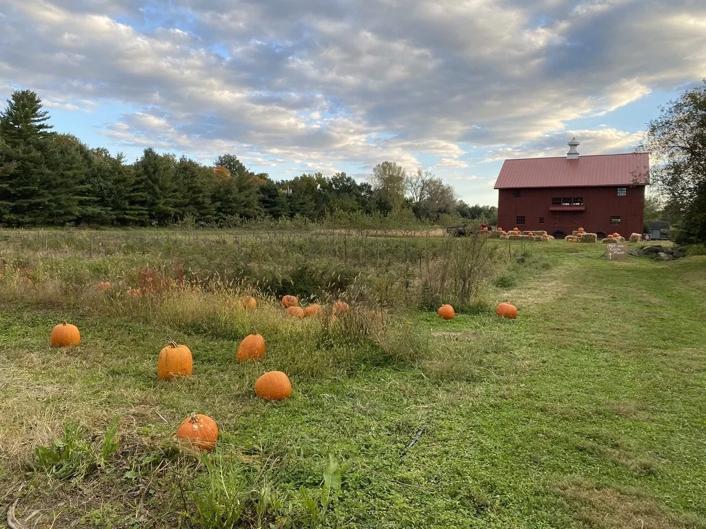 Redbarninthefieldpumpkins.jpeg