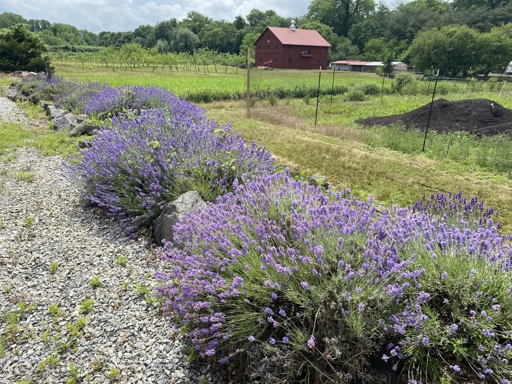 Abram Demaree Homestead and Farm in Bergen County, NJ