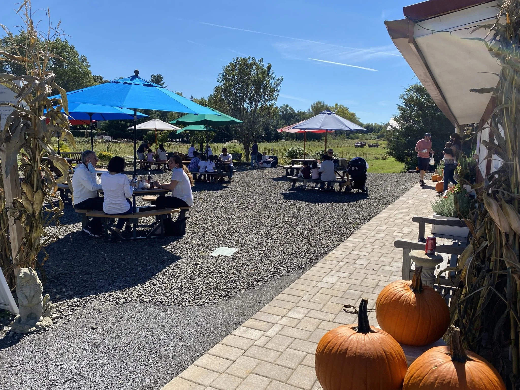 Fallcafeoutsidecrowdedpumpkins.jpeg