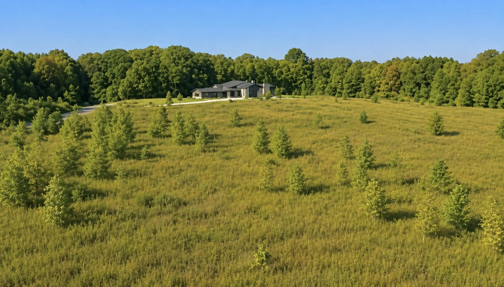 avanterra3.jpeg