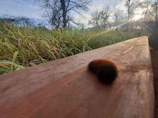 It’s the Little Things