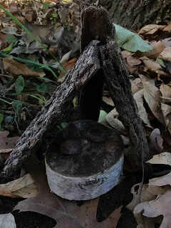 Mouse Houses
